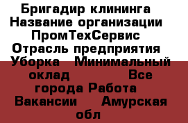 Бригадир клининга › Название организации ­ ПромТехСервис › Отрасль предприятия ­ Уборка › Минимальный оклад ­ 30 000 - Все города Работа » Вакансии   . Амурская обл.